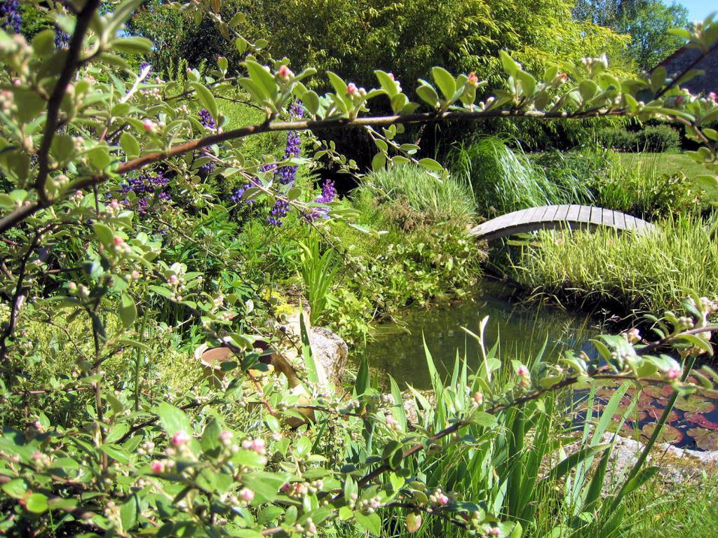 La Clef Des Champs Bed and Breakfast La Roche-en-Brenil Exteriör bild